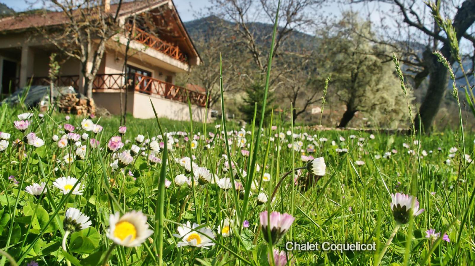 Chalet Coquelicot Kalavryta Exteriör bild